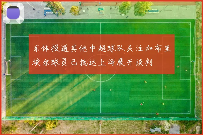 东体报道其他中超球队关注加布里埃尔球员已抵达上海展开谈判