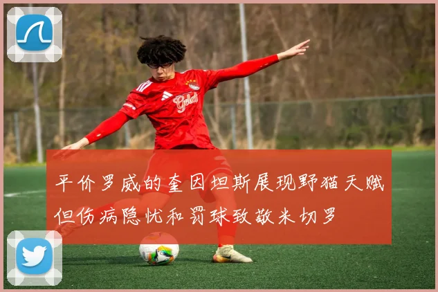 平价罗威的奎因坦斯展现野猫天赋但伤病隐忧和罚球致敬米切罗